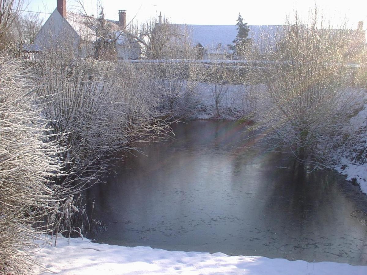 Bed and Breakfast La Pause - Val De Loire Chabris Exterior foto