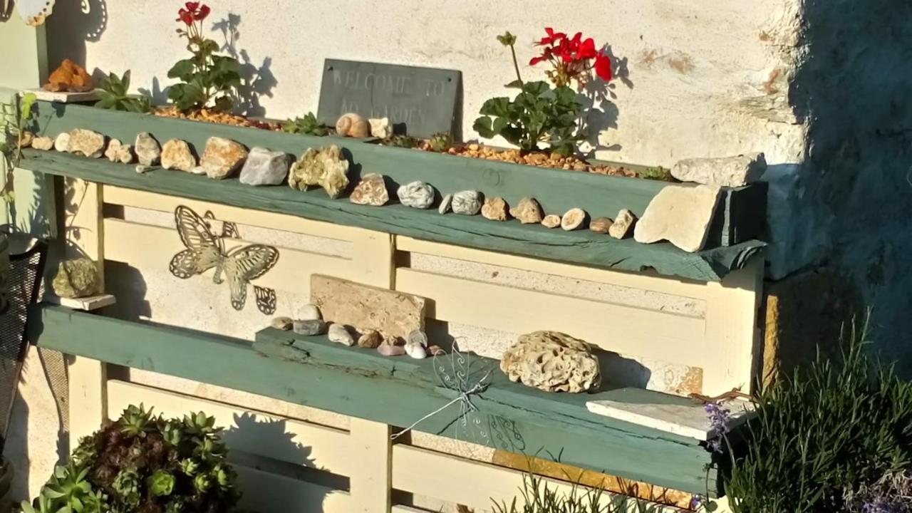Bed and Breakfast La Pause - Val De Loire Chabris Exterior foto