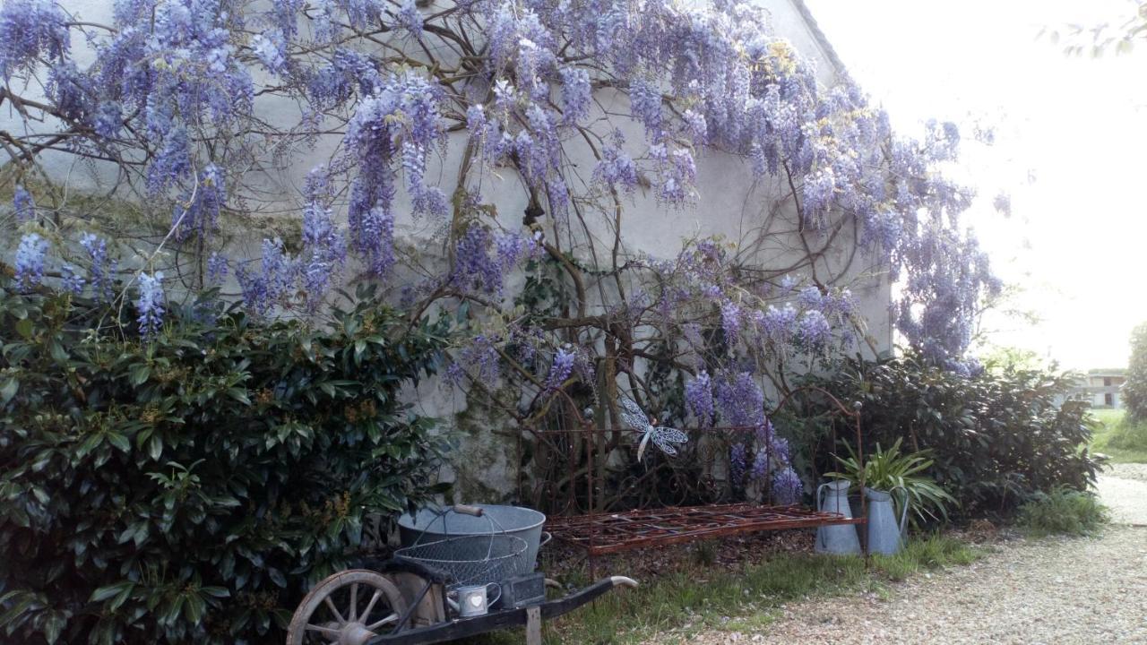 Bed and Breakfast La Pause - Val De Loire Chabris Exterior foto