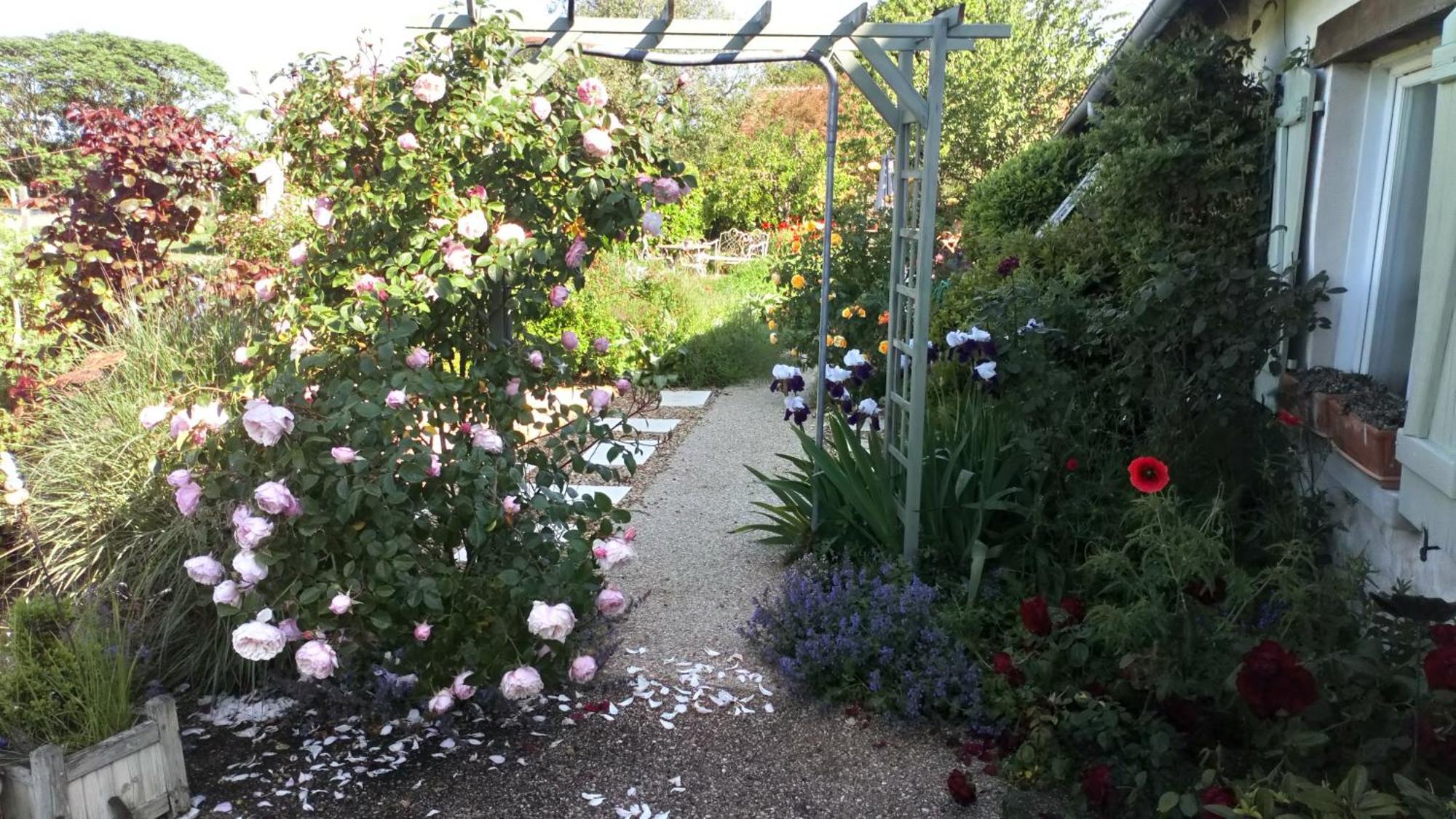 Bed and Breakfast La Pause - Val De Loire Chabris Exterior foto